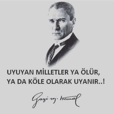 vatankara1938's profile picture. Bir Gece Ansızın Gelebiliriz, UYAN TÜRKİYE!