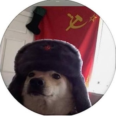 jshimer230912's profile picture. 