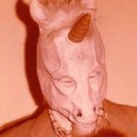 Perciphany (@perciphany) 's Twitter Profile