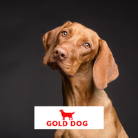 Golddog.org(@golddogorg) 's Twitter Profile Photo