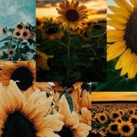 cinthya funez -comunidad (@cinthyacms) 's Twitter Profile