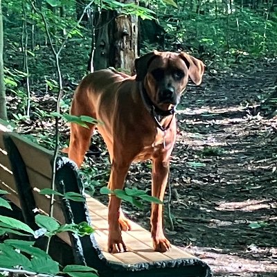 BradBunko's profile picture. Long-time lurker, branching out
 BTC MAGA MAHA 🐸
 Fix the money @satsvsfiat
🚫 DMs