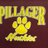 PillagerSchools's profile image