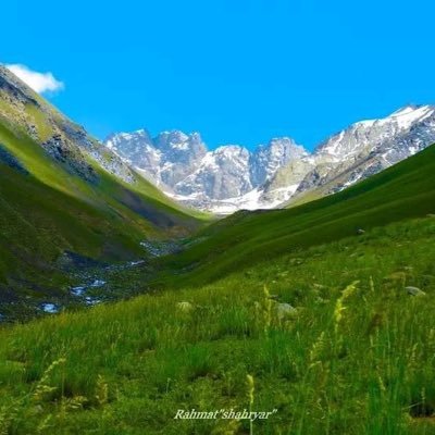 rafat4_mirza's profile picture. R