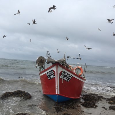coladirenzo's profile picture. Alto funcionário reformado do Min. das Finanças. Nascido na Régua (o Mónaco de Trás-os-Montes) por engano. Imposto baixo é roubo.