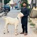 Sheraz Jahangir (@jahangir_s15730) Twitter profile photo Sheraz Jahangir (@jahangir_s15730) Twitter profile photo