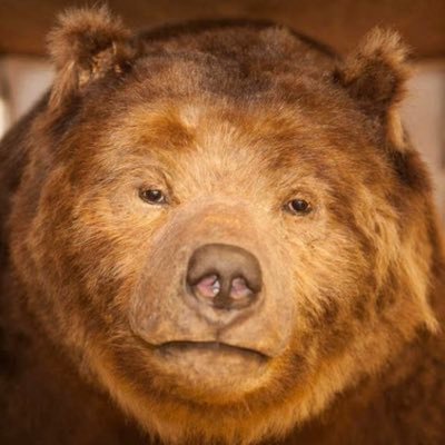 Dan_2Tuff's profile picture. Road to being a successful trader and young entrepreneur.