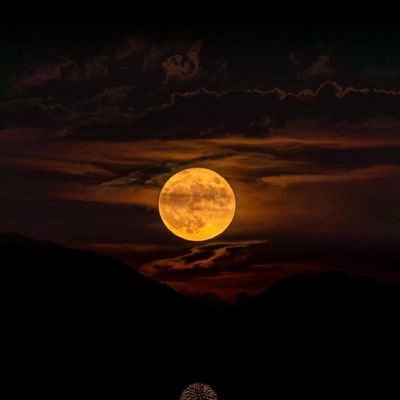 9atal_ja01's profile picture. 