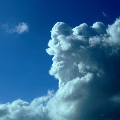 BashDapple's profile picture. Contemplating sublimity in all forms.