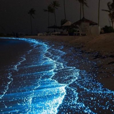 KH_Saif99's profile picture. 