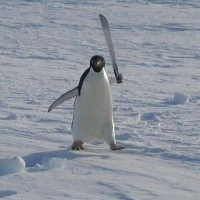 valeria_ugh's profile picture. 🇲🇽
²² years 🐣 minors dni 🐣
tgcf/mxtx/danmei 🐣 
batjokes ; tomarrymort ; obikin ; flowerfang ; chennett ; hannigram ; snowbaz