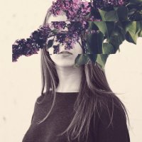 vuefloor (@vuefloor) 's Twitter Profile