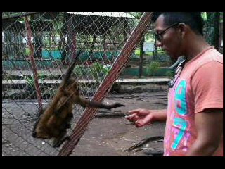 Yo naci solo para crecer, naci con la frente en alto...todo lo k he hecho es gracias a Dios..