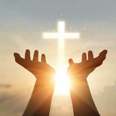 Ethan61484999's profile picture. 