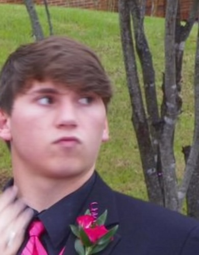 Spick_N_Spann's profile picture. 