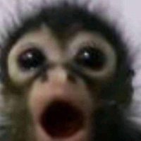 bbee (@kx_tem) 's Twitter Profile