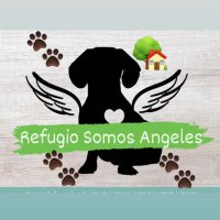 Somos Ángeles 🐶🐾 (@somosngeles1) 's Twitter Profile Photo Somos Ángeles 🐶🐾 (@somosngeles1) 's Twitter Profile Photo