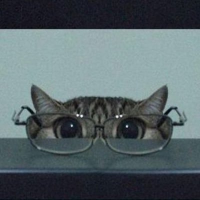 LightsHuntress's profile picture. Makulay ang buhay