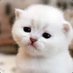 Linda Harper (@lindaharpe26275) Twitter profile photo Linda Harper (@lindaharpe26275) Twitter profile photo