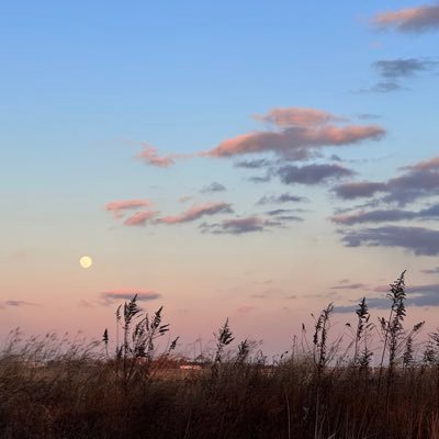 興味があったサーフフィッシングを始めました! 始めたばっかりで何も分かりませんが、楽しくできたらと思ってます😆 無言フォロー失礼します🙇♂️