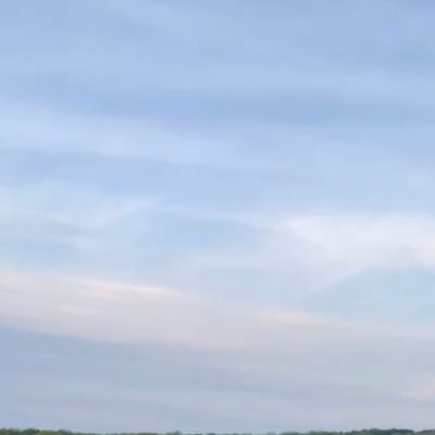 sarahwaffled's profile picture. 🐬❄️🌊💎💙🌀