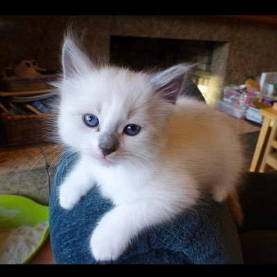 BerryPhilis's profile picture. Bachelors Degree in Nursing. Works at St Joseph Hospital Paterson NJ