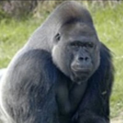 Jab_Jab_J's profile picture. got locked out and have been here since before 8.01