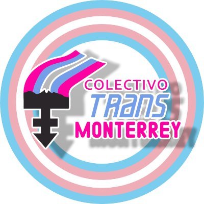 Somos una colectiva  sin fines de lucro que dignifica y fortalece a las identidades trans educando y sensibilizando a la comunidad.