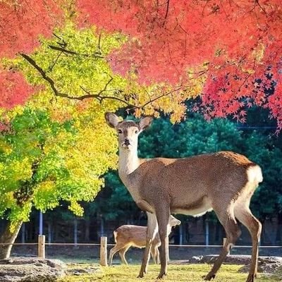 交友