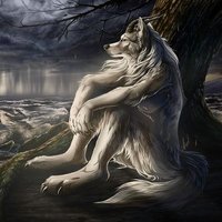 Wolf(@wolf92655) 's Twitter Profile Photo