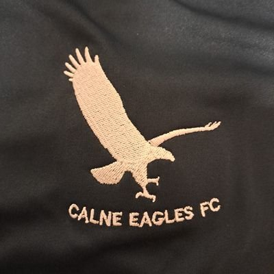 Calne Eagles ( Sundays )