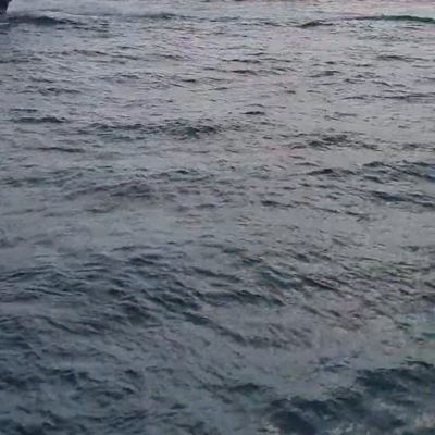 Maalabdaly's profile picture. 