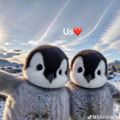 yoshijin15's profile picture. Akun ini dijual 350RB aja
Full 18++