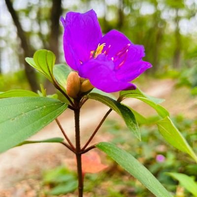 hosinM15369691's profile picture. 