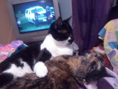 magikstweets's profile picture. eat, pray, love