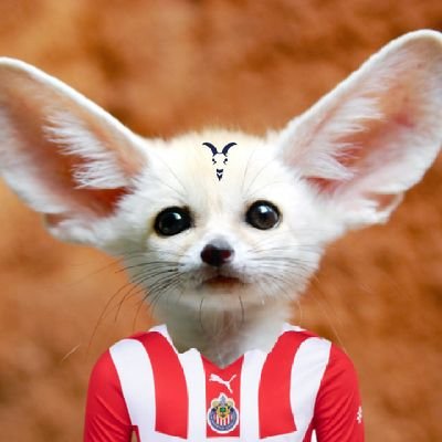 Le voy a Chivas y ya 🔴⚪️🐐