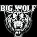 Big Wolf Band 💙 (@bigwolfband) Twitter profile photo