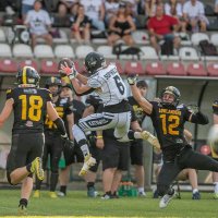 leonardo sophoclis (@leonardosoph) 's Twitter Profile