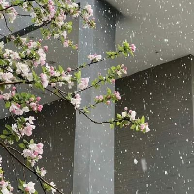 MuskanK13762991's profile picture. میری رات کا چراغ،،، میری نیند بھی ہے تو❤️