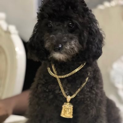 maxanaki_'s profile picture. Plato's big 4..