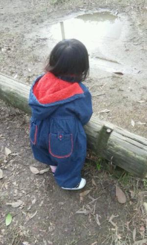 小学四年生、二年生、２歳の三姉妹のママです(^-^) 子供が大好きで、毎日子供たちと楽しく生活しています。 よろしくお願いします (^o^)v