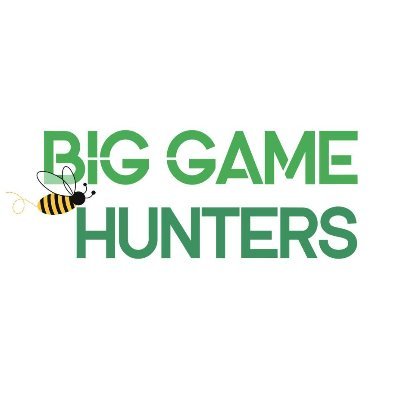 the Play Experts are a group of people who work for Big Game Hunters - helping children and families become more active and have more fun through play.