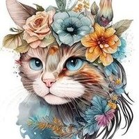 Liliane Reins (@lilianereins) 's Twitter Profile Photo