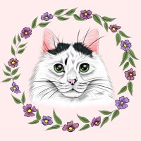 Second Em π (@second_made) 's Twitter Profile