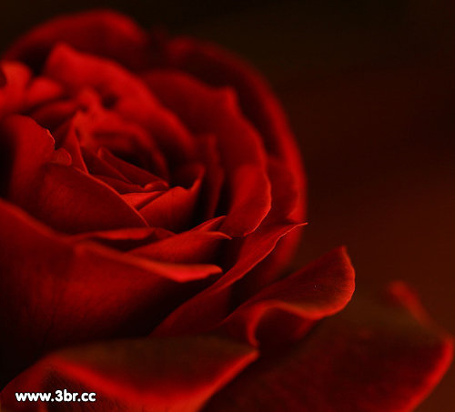 hot6xy's profile picture. 