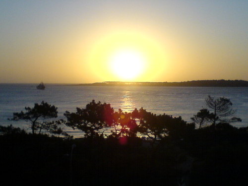 martin_mera's profile picture. 