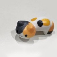 calico (@calico_gif) 's Twitter Profile