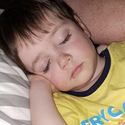 st7261's profile picture. Virtutis Fortuna Comes