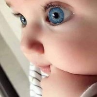 ALaa ALi (@alaa55932269) 's Twitter Profile