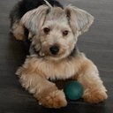 Matt Roland - @roland11152 - Twitter